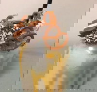 Where Ya Bean - Restaurant Gold Coast