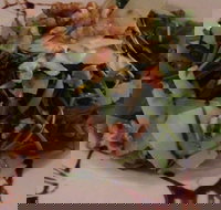 Angies Italian Kitchen - Restaurant Gold Coast