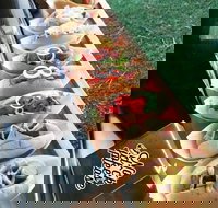 Balter Brewing Company - Restaurant Gold Coast