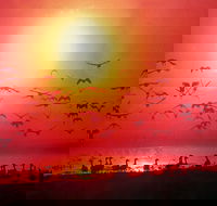 Barra Cafe on Riverview - Restaurant Gold Coast