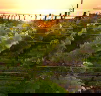 Bennetts on Bellarine Winery - Restaurant Gold Coast