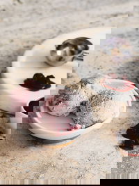 Gelatissimo - Artarmon