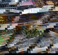 Haynes Street Larder - Restaurant Gold Coast