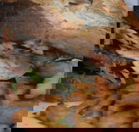 Oasis by the river restaurant  cafe - Restaurant Gold Coast