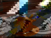 Cocina Mexican Grill and Cantina