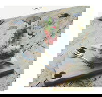 Dose Espresso - Restaurant Gold Coast