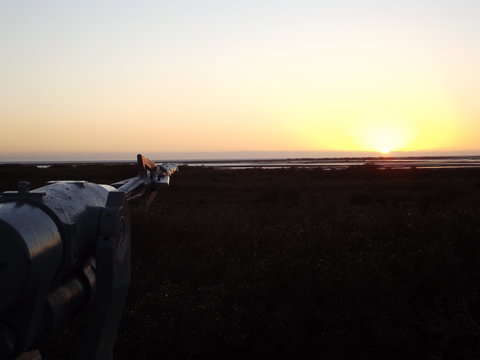 Sunsets Cafe And Restaurant - Restaurant Gold Coast 1