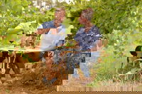 Winkie Takeaway and Winkie Restaurant Gold Coast Restaurant Gold Coast