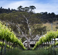 Mount Majura Vineyard - Restaurant Gold Coast