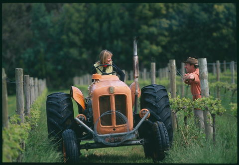 Oranje Tractor Wine - Restaurant Gold Coast 0