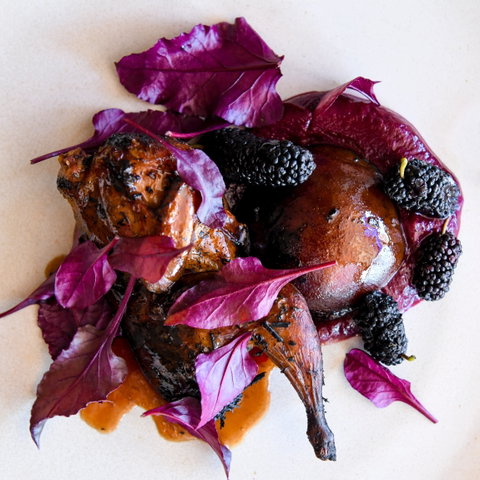 Osteria Il Coccia - Restaurant Gold Coast 2