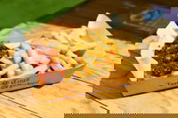 O Tuga Tastes of Portugal