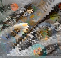 Peats Bite Restaurant - Restaurant Gold Coast