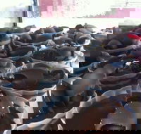 Flavor's Patisserie - Restaurant Gold Coast