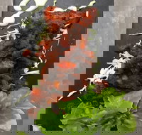 Royal India Restobar - Restaurant Gold Coast