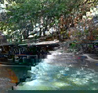 Tree Bar  Grill at Ramada Resort Port Douglas - Restaurant Gold Coast