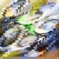 Captain  Co Fish Bar