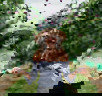 Cherryhill Orchards - Restaurant Gold Coast