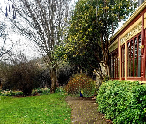 Glen Derwent Tea Rooms - Restaurant Gold Coast 0