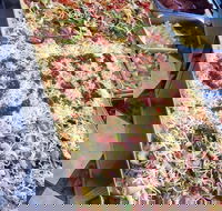 Marinelli's - Keilor East - Restaurant Gold Coast