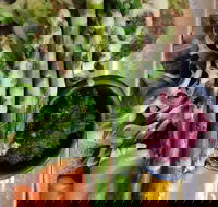 Stone cold - Restaurant Gold Coast