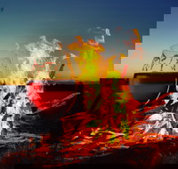 Black Dog Brewery - Restaurant Gold Coast