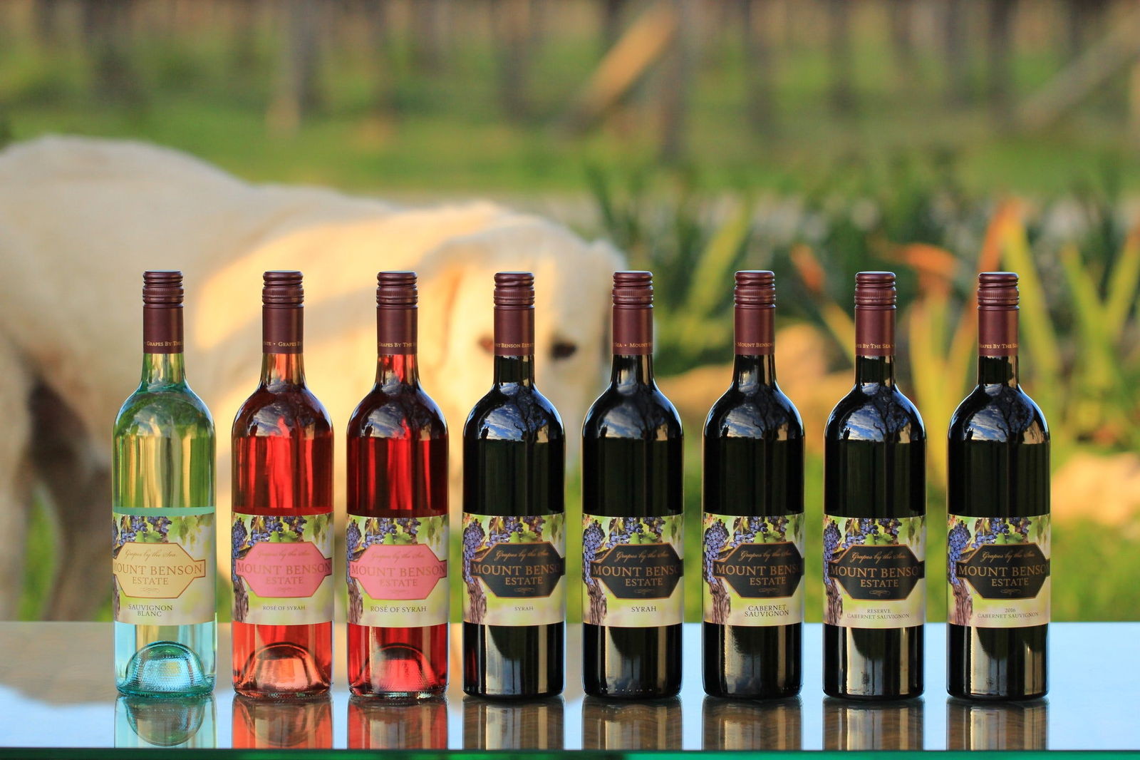 Boatswain Point SA Restaurant Gold Coast