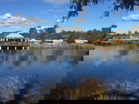 Puddleduck Vineyard