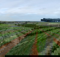 Razorback Ridge Wines - Restaurant Gold Coast