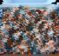 Sizzlers Kebab - Restaurant Gold Coast