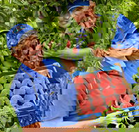 Willayoung Orchard - Restaurant Gold Coast