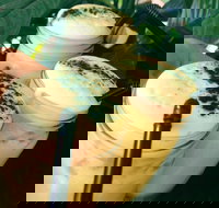 Chillers Cafe - Restaurant Gold Coast