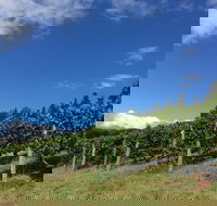 Freycinet Vineyard - Restaurant Gold Coast