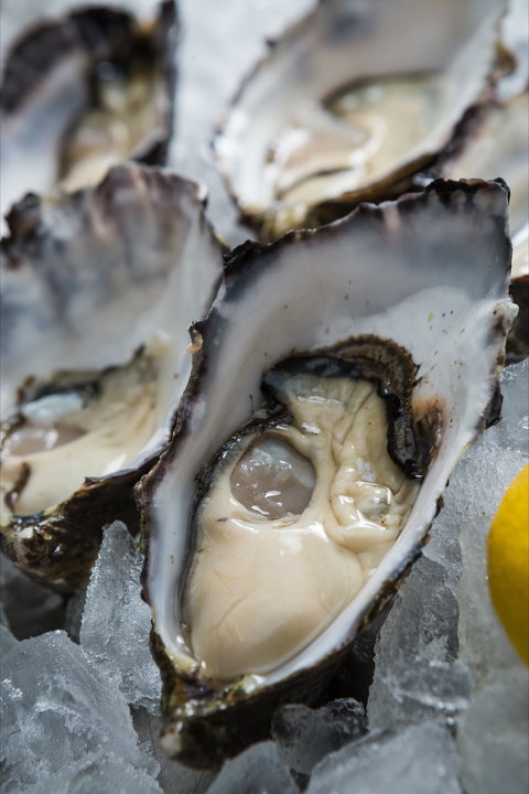 Lobster Shack Tasmania - Restaurant Gold Coast 1
