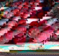 Martins Orchard - Restaurant Gold Coast