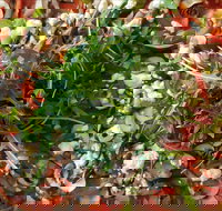 Mount Buninyong Winery - Restaurant Gold Coast