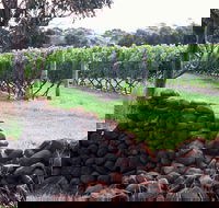 Spring Vale Vineyard - Restaurant Gold Coast