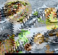 Zambrero Griffith - Restaurant Gold Coast