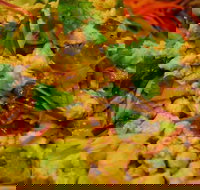 Caroline Thai Restaurant - Restaurant Gold Coast