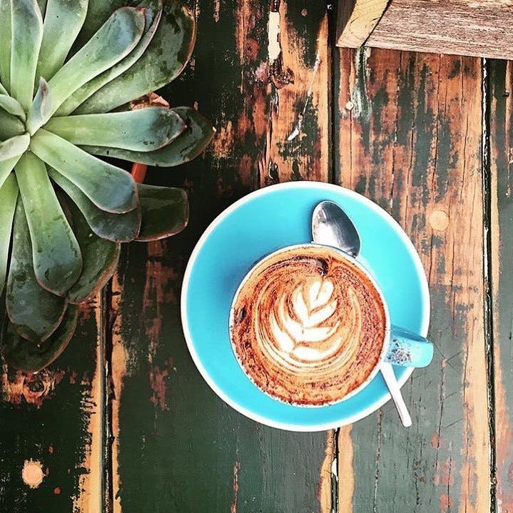 Manly NSW Restaurant Gold Coast