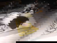 Conti Bar  Bistro