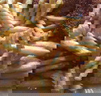 Fish Food with a Difference - Restaurant Gold Coast