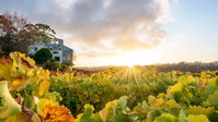 Hahndorf Hill Winery