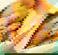 Mrs. Fields - Taylors Lakes - Restaurant Gold Coast