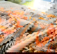 Rufus King Seafoods Amity Point - Restaurant Gold Coast