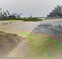 South West Rocks Country Club - Restaurant Gold Coast