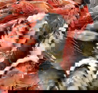 Mi Shells Seafood - Restaurant Gold Coast