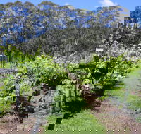Woongooroo Estate Winery - Restaurant Gold Coast