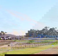 Blacklea Vineyard and Olive Grove - Restaurant Gold Coast