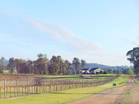 Blacklea Vineyard And Olive Grove - Restaurant Gold Coast 0